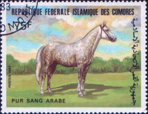 Colnect-3124-087-Arabian-Equus-ferus-caballus.jpg