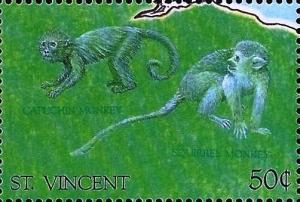 Colnect-5572-227-Capuchin-and-squirrel-monkeys.jpg