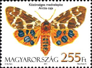 Colnect-960-662-Garden-Tiger-Arctia-caja.jpg