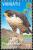 Colnect-1830-713-Peregrine-Falcon-Falco-peregrinus-ssp-nesiotes.jpg