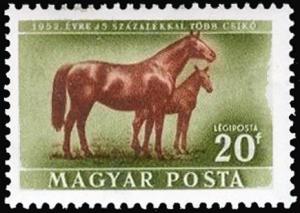 Colnect-994-576-Mare-and-Foal-Equus-ferus-caballus.jpg