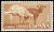 Colnect-1395-081-Domestic-Goat-Capra-aegagrus-hircus.jpg