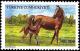 Colnect-975-840-Mare-and-Foal-Equus-ferus-caballus.jpg