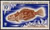 Colnect-885-981-Marbled-Rockcod-Notothenia-rossil.jpg