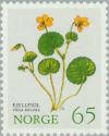 Colnect-161-789-Yellow-Wood-Violet-Viola-biflora.jpg