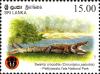 Colnect-2409-559-Swamp-Crocodile-Crocodylus-palustris.jpg