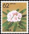 Colnect-519-684-Rhododendron-Fukushima.jpg