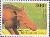 Colnect-2040-447-Desert-Warthog-Phacochoerus-aethiopicus.jpg
