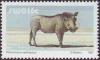 Colnect-2367-604-Desert-Warthog-Phacochoerus-aethiopicus.jpg