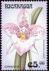 Colnect-3188-446-Odontoglossum-cervantesii.jpg