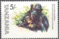Colnect-1075-429-Chimpanzee-Pan-troglodytes-Fifi-with-Young---Gombe.jpg