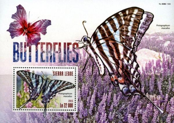 Colnect-3565-889-Protographium-msrcellus.jpg