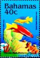 Colnect-4131-906-Cuban-hogfish-Spanish-hogfish.jpg