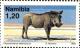 Colnect-5909-961-Desert-Warthog-Phacochoerus-aethiopicus.jpg
