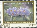 Colnect-2347-563-Solanum-stenotomum.jpg
