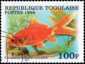 Colnect-3557-648-Fantail-Goldfish-Carassius-auratus.jpg