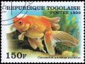 Colnect-3557-649-Veiltail-Goldfish-Carassius-auratus.jpg
