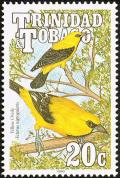 Colnect-744-208-Yellow-Oriole-Icterus-nigrogularis.jpg