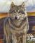Colnect-202-145-Wolf-Canis-lupus.jpg