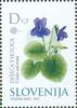 Colnect-699-047-Sweet-Violet-Viola-odorata---Medicinal-Plants.jpg