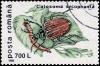 Colnect-3578-792-European-Calosoma-Beetle-Calosoma-sycophanta.jpg