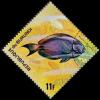 Colnect-3266-527-Ocean-Surgeonfish-Acanthurus-bahianus.jpg