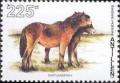 Colnect-960-104-Shetland-Pony-Equus-ferus-caballus.jpg