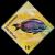 Colnect-3266-527-Ocean-Surgeonfish-Acanthurus-bahianus.jpg