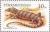 Colnect-599-995-Deset-Monitor-Varanus-griseus.jpg