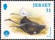 Colnect-6246-290-Common-Skate-Raja-batis-.jpg