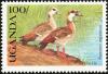 Colnect-1715-770-Egyptian-Goose-Alopochen-aegyptiacus.jpg