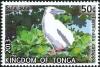 Colnect-3742-809-Red-footed-Booby-Sula-sula.jpg
