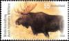 Colnect-4534-046-Moose-Alces-alces.jpg