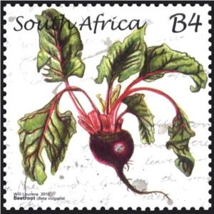 Beetroot.jpg