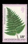 Colnect-1292-811-Dryopteris-Ascensionis.jpg