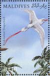 Colnect-1631-361-Red-tailed-Tropicbird-Phaethon-rubricauda.jpg