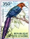 Colnect-3444-430-Forest-Wood-Hoopoe-Phoeniculus-castaneiceps.jpg