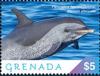 Colnect-5727-085-Pantropic-Spotted-Dolphin.jpg