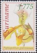 Colnect-3818-810-Paphiopedilum-gratrixianum.jpg
