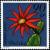 Colnect-1977-637-Epiphyllopsis-gaertnen-Cactaceae.jpg