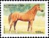 Colnect-1092-729-Karabakh-Horse-Equus-ferus-caballus.jpg