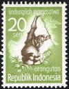 Colnect-2200-395-Bornean-Orangutan-Pongo-pygmaeus.jpg