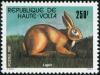 Colnect-2244-801-Domestic-Rabbit-Oryctolagus-cuniculus-domesticus.jpg