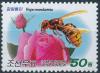 Colnect-3316-709-Asian-giant-hornet-Vespa-mandarinia---Rose.jpg