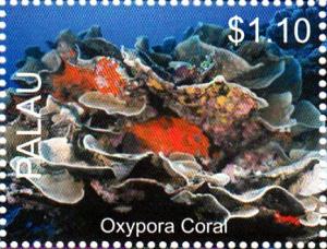 Colnect-4910-092-Oxypora-Coral-Oxypora-sp.jpg