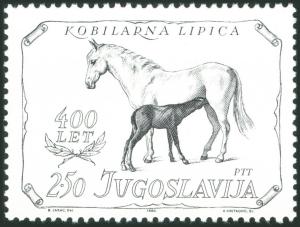 Colnect-5733-975-Lipizzan-Horse-Equus-ferus-caballus.jpg