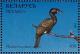 Colnect-1047-771-Great-Cormorant%C2%A0Phalacrocorax-carbo.jpg