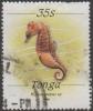 Colnect-4894-728-Seahorse-Hippocampus-sp.jpg