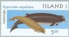 Colnect-165-394-Northern-Bottlenose-Whale-Hyperoodon-ampullatus.jpg