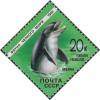 Colnect-1954-116-Common-Bottlenose-Dolphin-Tursiops-truncatus.jpg